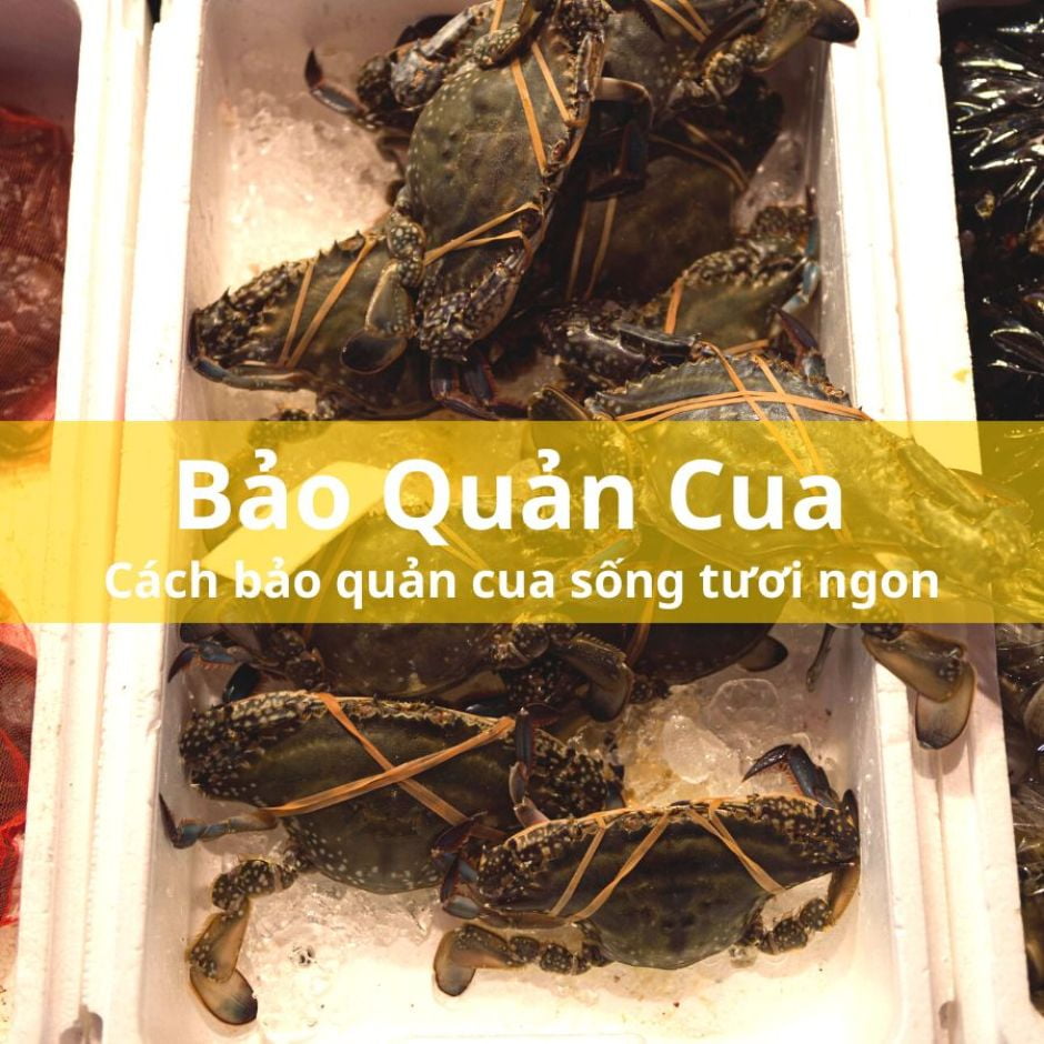 Cách Bảo Quản Cua Sống Sao Cho Tươi Ngon Hiệu Quả | WOW 