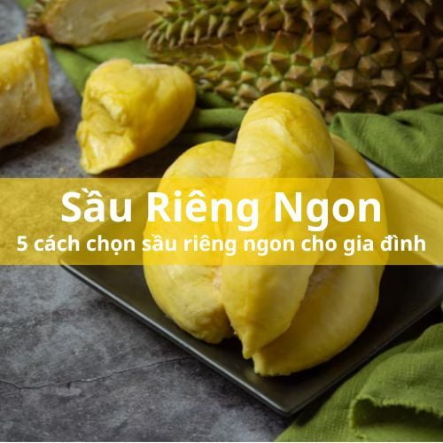 5 cách chọn sầu riêng đơn giản ai cũng nên biết - WOW 