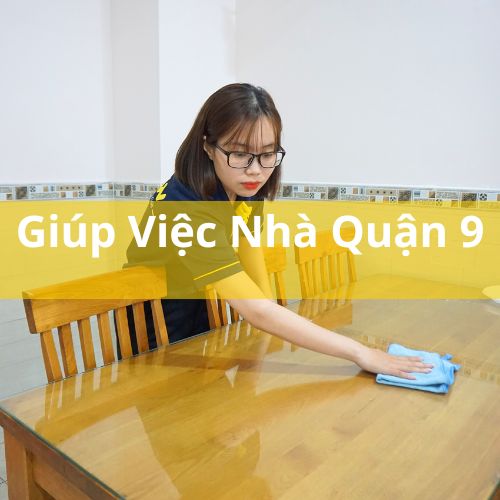 giup-viec-nha-theo-gio-quan-9-vi-sao